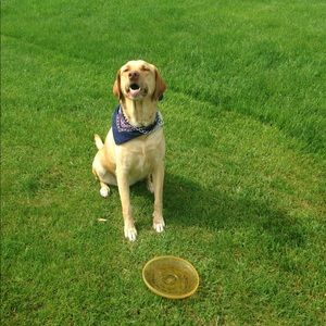 Meet your Posher, Derek